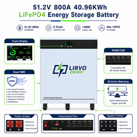 Sistema de Almacenamiento de Energía Solar para el Hogar, Apilable, de 51.2V, 300Ah, 800Ah, 1000Ah, LiFePO4, con BMS Integrado