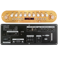 D1600 Profesional 2.0 Channel untuk Papan Amplifier Rumah 5.1 50W Efek Karaoke OTG USB Perekaman DSP Tuning Baterai