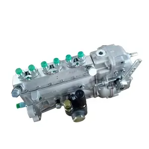China Hersteller Dieselmotor Teile Einspritzpumpe für DEUTZ D2232613G F3L912 F4L912 F6L912