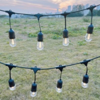 Modèle suspendu S14 LED Ampoules Festoon lumières Vintage Edison Ampoules Cour Garden Party Lumières Guirlande Lumineuse Décorations De Vacances