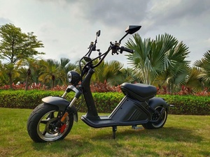 สกู๊ตเตอร์ไฟฟ้าใหม่จากคลังสินค้ายุโรป ได้รับการรับรองมาตรฐาน EEC <span class=keywords><strong>COC</strong></span> กำลังสูง Citycoco 3000W พร้อมจำหน่าย - Product Image 6