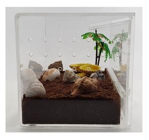 Acrylique Pet Habitat Vitrine Empilable Boîte Éleveur Insecte <span class=keywords><strong>Reptile</strong></span> Acrylique <span class=keywords><strong>Cage</strong></span> Pet House Jump Spider Tarantula - Product Image 3