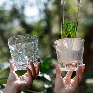 Pot succulent transparent <span class=keywords><strong>sans</strong></span> <span class=keywords><strong>eau</strong></span> en plastique de bureau de balcon de bassin auto-amorçant hydroponique pour des plantes - Product Image 1