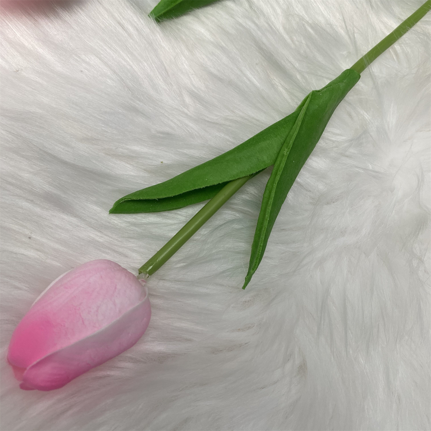 un poco de rosa