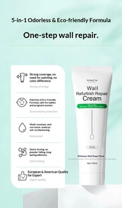 Outil de pulvérisation de peinture liquide en gros pour la réparation des murs, avec peinture au latex pour mastic mural intérieur, <span class=keywords><strong>auto</strong></span>-peinture - Product Image 6