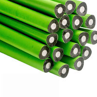 Lot de crayons HB 2B à grip triangulaire en bois noir Green Barrel, mine épaisse, crayons spéciaux pour enfants, non toxiques et sûrs