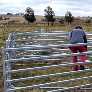 싼 라운드 펜 말 목장 패널 가축 가축 패널 울타리 말 양 목장 목장 패널 야드 - Product Image 6