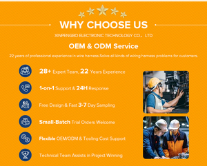 कार ऑडियो सिस्टम के लिए नई सार्वभौमिक आईएसओ तारों का दोहन महिला एडाप्टर कनेक्टर केबल रेडियो वायरिंग कनेक्टर एडाप्टर - Product Image 6