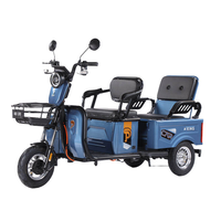 Tricycle Électrique à 3 Roues Direct Usine 60V 501800W 2 Places Rickshaw Batterie Plomb-Acide/Lithium 20Ah/32Ah Passagers et Marchandises