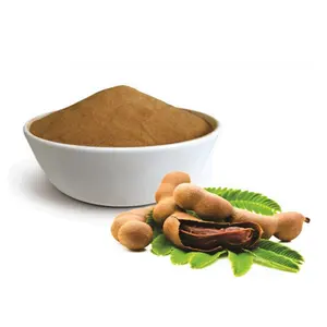 High Quality Plant Extract Tamarind Seed Extract Powder Tamarind Powder