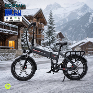 Vélo pliable IT Warehouse KOOLUX X12 250W 48V 13Ah Bici Elettrica Consegna Cibo CE EN15194 homologué pour la route, tout-terrain, adulte - Product Image 1