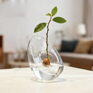<span class=keywords><strong>Vase</strong></span> en verre hydroponique pour <span class=keywords><strong>avocat</strong></span> japonais, <span class=keywords><strong>vase</strong></span> de plantation spécifique aux graines, récipient hydroponique pour noyaux de fruits - Product Image 1