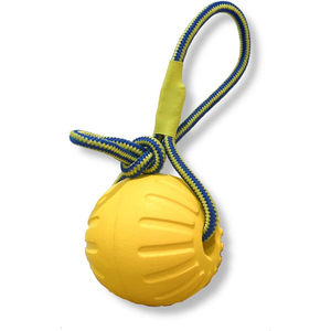 Jouets en corde pour chien en EVA multicolores, durables et écologiques, pour l'entraînement à la mastication, vente en gros d'usine, OEM/ODM disponible - Product Image 1