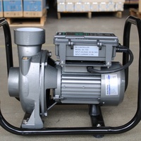 Pompe à eau solaire de surface DC 2HP 110V à haut débit, 2 pouces, 1500W, pour l'irrigation agricole