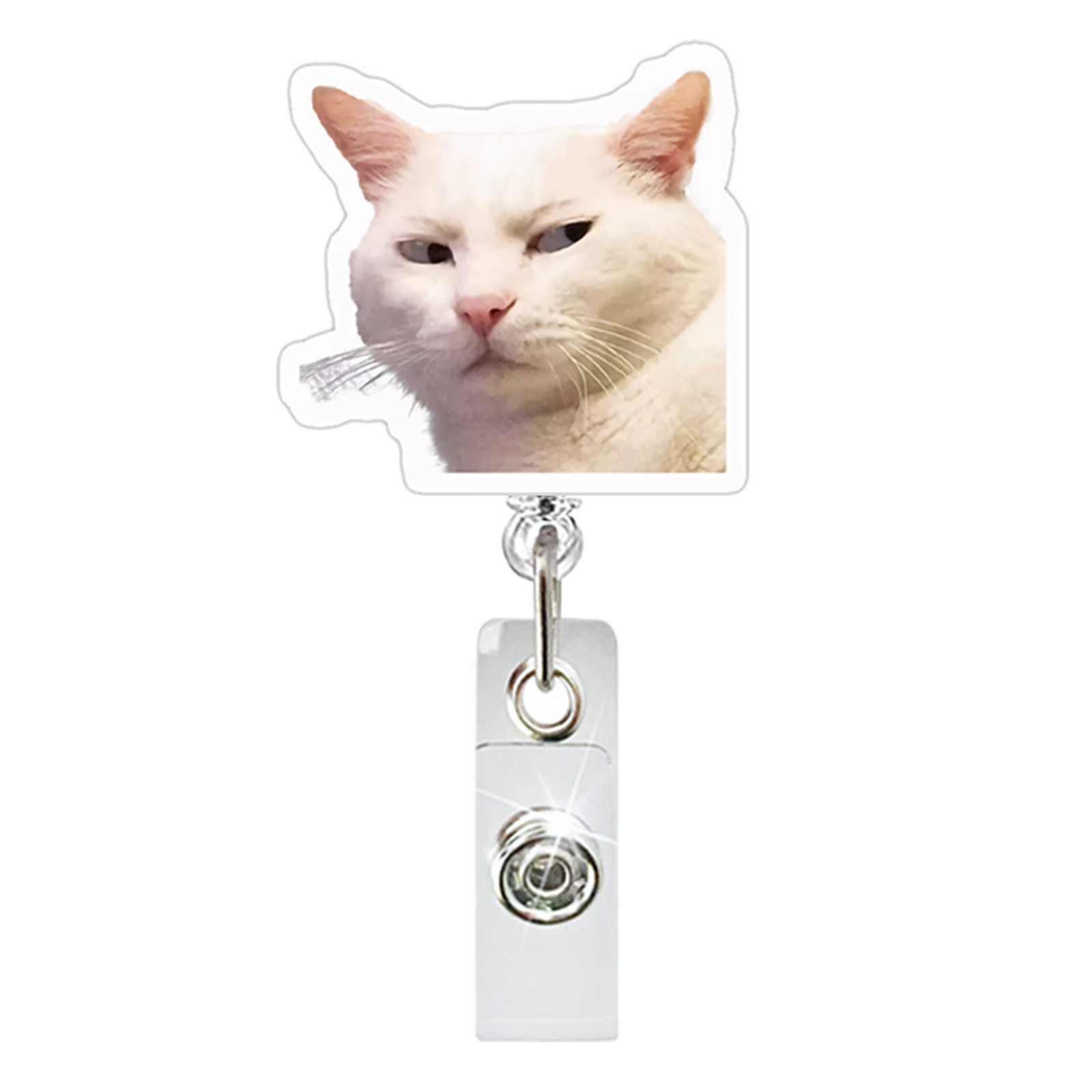 Chat blanc
