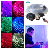 Kit d'éclairage LED à fibres optiques à changement de couleur pour jeu sensoriel, stimulation tactile, équipement d'éclairage sensoriel, queues de fibres optiques