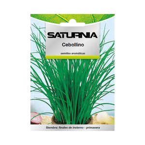 Semillas aromáticas de cebolleta (1 gramo) - Product Image 1