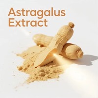 Extrait d'Astragale Ingrédient de qualité alimentaire Extrait de racine d'Astragale en poudre
