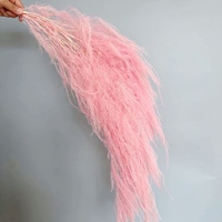 Vente directe d'usine préservé ruée alpine chinoise saule herbe plume herbe longue pierre herbe mariage décoration douce