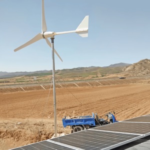 <span class=keywords><strong>Kit</strong></span> de générateur d'éolienne verticale avec contrôleur MPPT Générateur d'énergie solaire Système d'alimentation hybride solaire éolien - Product Image 2