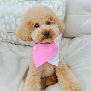 松山玩具 カスタムロゴ入り 調節可能な首輪 ペット用ハンカチ ビブ ドレスアップアクセサリー 犬用バンダナ 首輪スカーフ 子犬・猫用 - Product Image 5