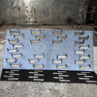 Conector de Acero Galvanizado Moderno Personalizado de Doble Placa para Truss, de Alta Resistencia y Anticorrosión, para Sistema de Soporte de Techos de Madera
