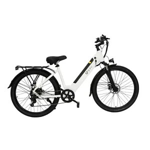 26 '' E Bike 7 Speed Electric Mountain Bicycle Step Through 50 Mph Electric Ride On Bike Wholesale E Cycle Ebike For Sale