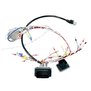 High Quality custom auto light Door Engine Car light Automotive wiring harness manufacturer