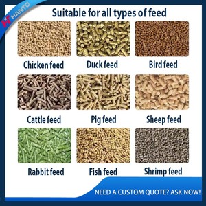 <span class=keywords><strong>Machine</strong></span> à granulés de diesel pour la fabrication d'aliments pour poulets, porcs et bovins avec une production stable pour les petites et moyennes exploitations agricoles - Product Image 3
