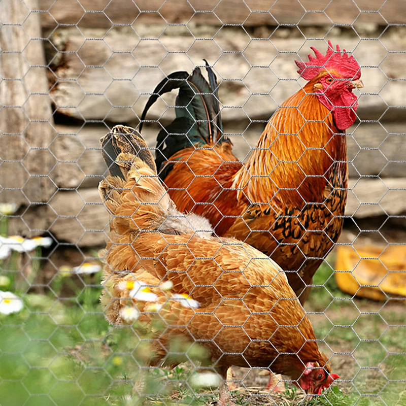 W5 Garden Fence Barrier for Pet Rabbit Chicken Fencing Chicken Wire Poultry Wire Netting Hexagonal Galvanized Mesh