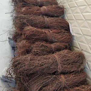 ตู้ปลาเชิงนิเวศ ตู้ปลาระแนง จัดสวนตู้ปลา <span class=keywords><strong>ราก</strong></span>ดราก้อนวิสเกอร์ กิ่งหวาย ต้นไทร หนวด<span class=keywords><strong>ไทร</strong></span> - Product Image 4