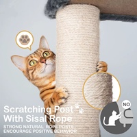Arbre à chat moderne en gros avec grand cadre en bois et griffoir en sisal naturel