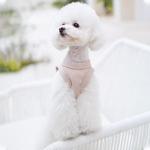 Roupa de cachorro de pelúcia multicolorida, vestes de cachorro de verão, 2022 - Product Image 3