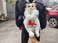 Mainan Simulasi Kucing Calico Realistis