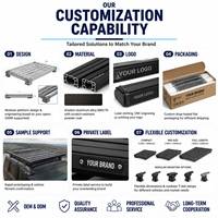 Fabricant de cages de sécurité sur mesure en gros pour Hilux, barres de protection pour camions et autres accessoires extérieurs
