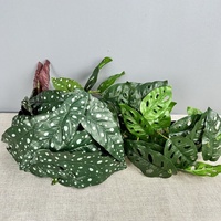 Grandes feuilles artificielles de Monstera, végétation réaliste et écologique, plantes artificielles pour la décoration du salon, mariage, Noël