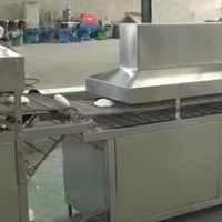 Machine à crêpes et tortillas, machine à rouleaux de printemps, machine à pain pita, machine à pain arabe, ligne de production automatique de tortillas