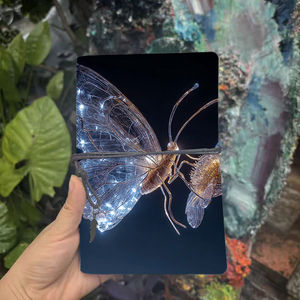 A6 2025 Nhật Ký chương trình nghị sự hàng ngày 160 trang thiết kế sáng tạo dày phù hợp cho trường học/văn phòng cuốn sách Kỷ Lục lý tưởng hàng tuần với chiếu sáng - Product Image 2