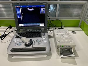 Ecógrafo 3D basado en PC con impresora láser, impresora térmica portátil - Product Image 5