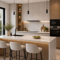 Meuble de cuisine moderne de luxe en aluminium avec évier intégré, îlot personnalisé, accessoires de placard et garde-manger entièrement en acier inoxydable