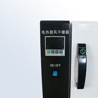 High Precision Electric Blast Drying Oven Laboratory Equipment Material Testing Machine Professional Testing Instruments
