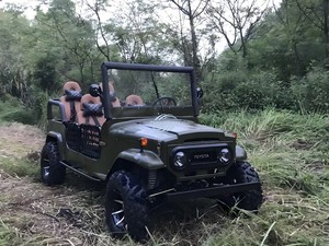 <span class=keywords><strong>Quad</strong></span> utilitaire électrique tout-terrain étanche, véhicule tout-terrain pour adultes à couple élevé et faible vitesse - Product Image 6