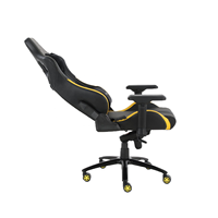 SKILLCHAIRS Trône Série Noir Blanc Dossier Haut Chaise De Jeu Racing Style Chaise D'ordinateur De Bureau Élégantes Chaises De Gamer Pas Cher