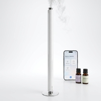 Diffuseur d'arômes professionnel pour hôtel et usage domestique, type Fanluosen, rechargeable par USB-C, atomiseur de parfum à double liquide, application intelligente