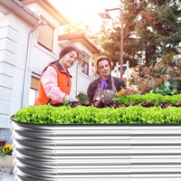 Lits de jardin en acier galvanisé de haute qualité pour l'extérieur, fournis directement par l'usine, pour le jardinage