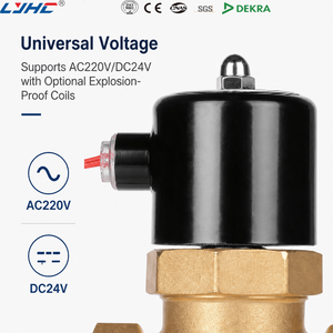 Válvula solenoide de latón operada por piloto para vapor y agua caliente, para múltiples escenarios, US35 220V AC, para caldera doméstica, normalmente cerrada, DN32 - Product Image 2