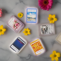 XP01 vente en gros, cube de cire parfumée de haute qualité, blocs de fusion personnalisés, tartes de cire parfumées comme cadeau pour la décoration de la maison