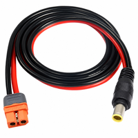 XT60 Buchse auf DC 5.5x2.5mm Stromkabel 12AWG Silikonkabel für FPV-Brillen Monitor Ladestation B2B Großhandel