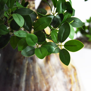Planta Artificial de plástico para decoración de jungla, árboles ornamentales de interior, Baobab, árbol falso de mono y pan - Product Image 3