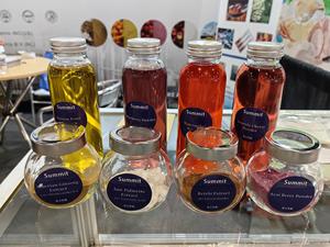 Extrato De Alho De Alta Qualidade Em Pó Extrato De Alho - Product Image 3